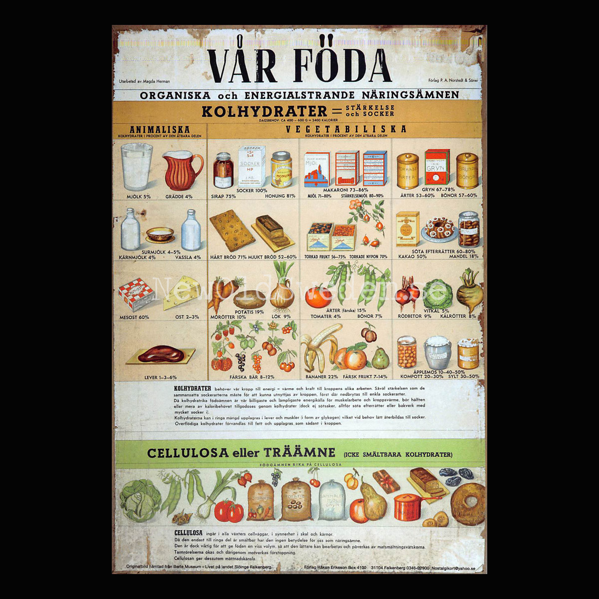 VÅR FÖDA - KOLHYDRATER & CELLULOSA - Vykort A5