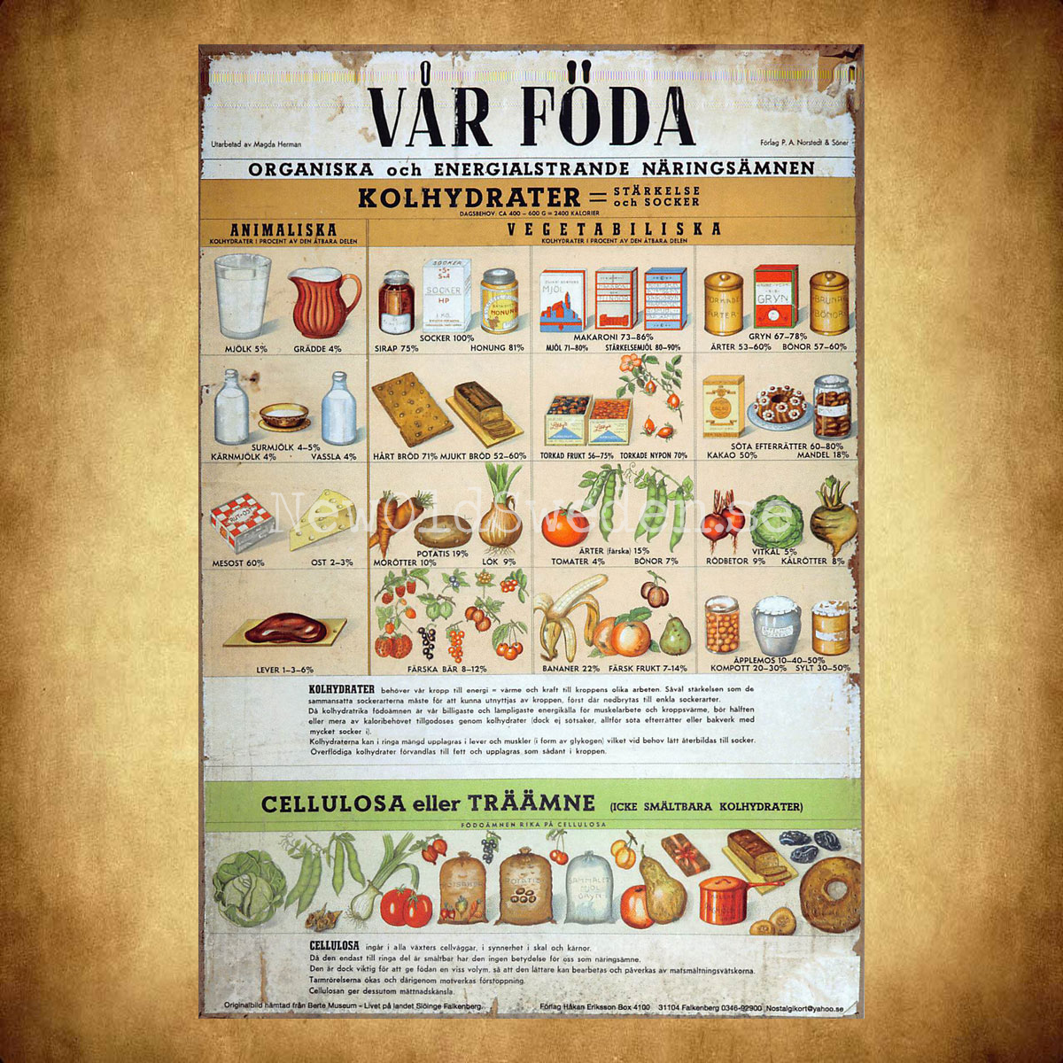 VÅR FÖDA - KOLHYDRATER & CELLULOSA - Vykort A5 - 2