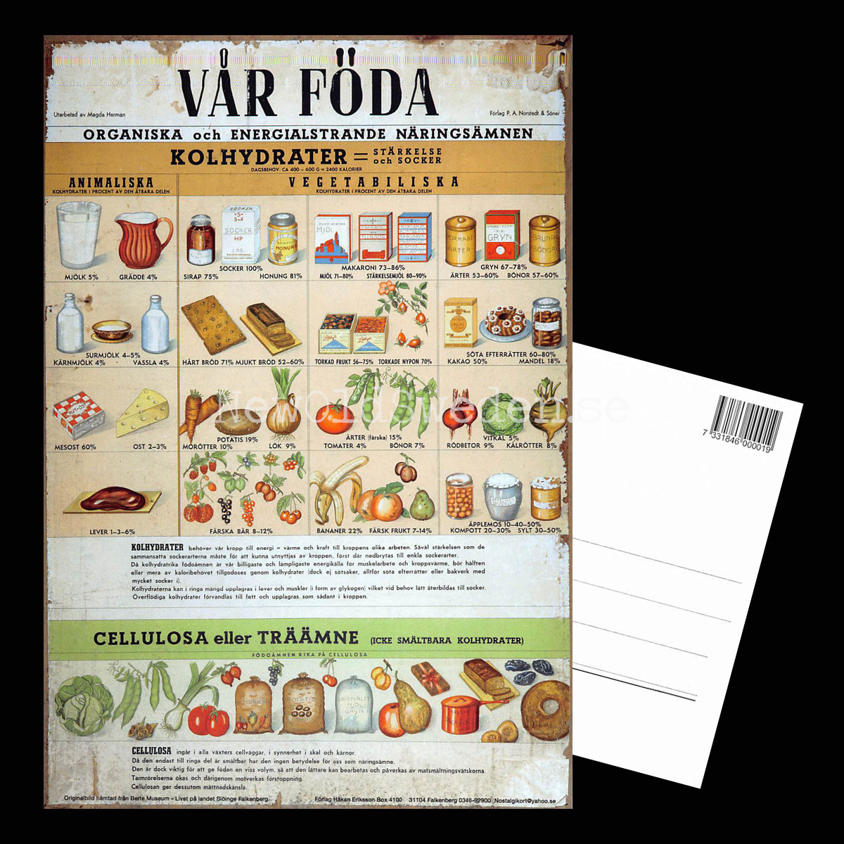 VÅR FÖDA - KOLHYDRATER & CELLULOSA - Vykort A5 - 3