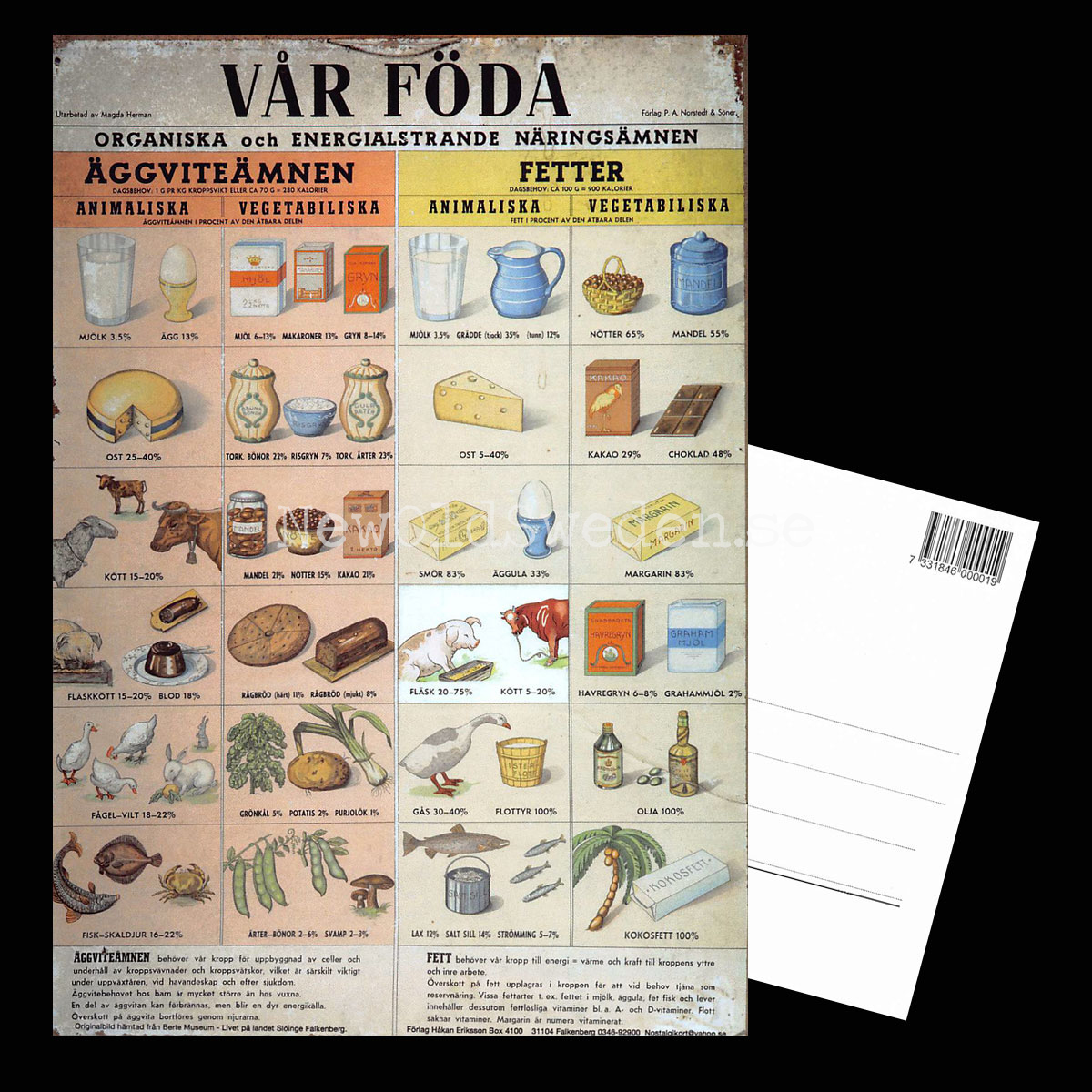 VÅR FÖDA - ÄGGVITEÄMNEN & FETTER - Vykort A5 - 3