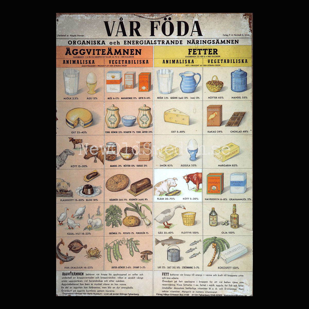 VÅR FÖDA - ÄGGVITEÄMNEN & FETTER - Vykort A5