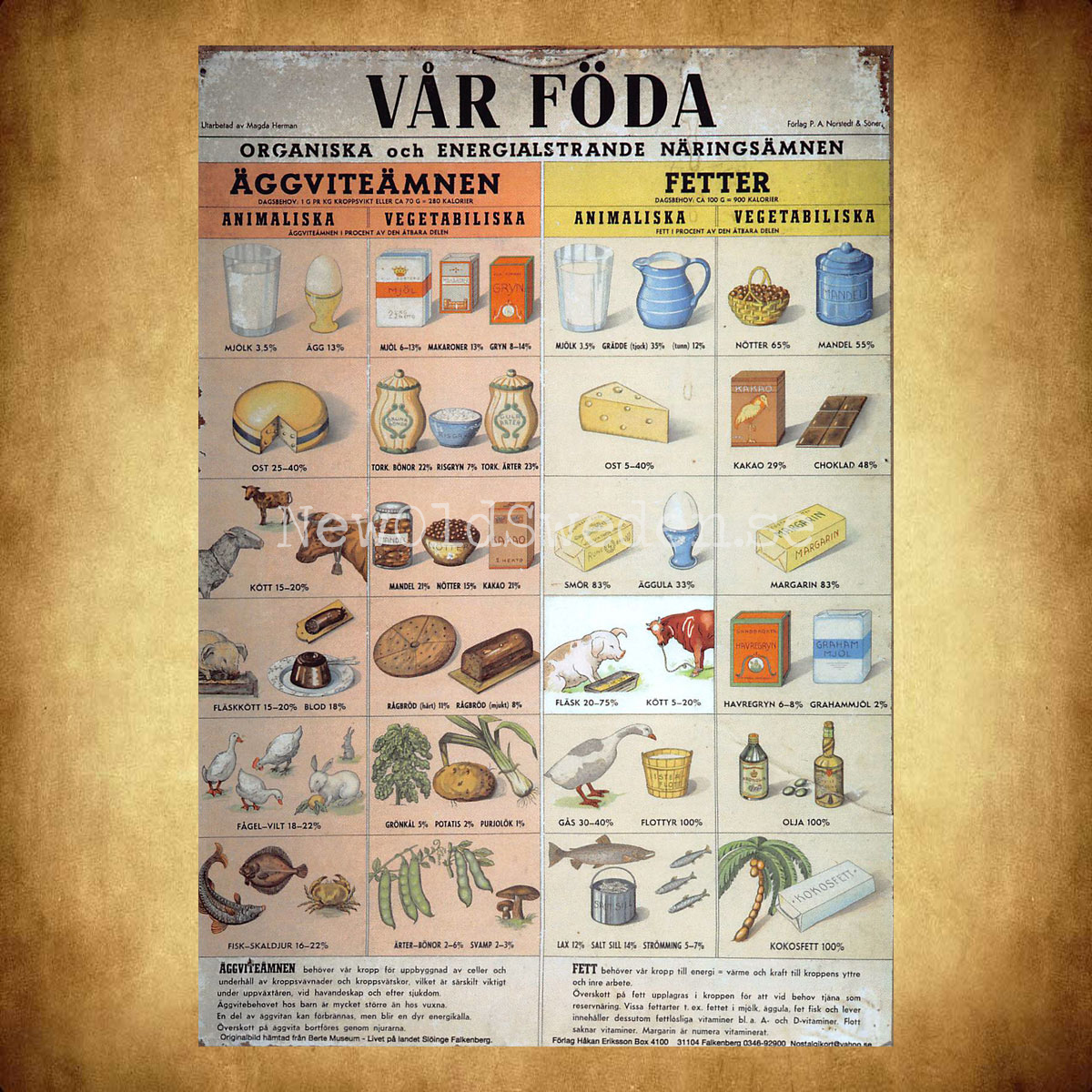 VÅR FÖDA - ÄGGVITEÄMNEN & FETTER - Vykort A5 - 2
