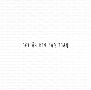 Det är din dag idag, Gummiapan