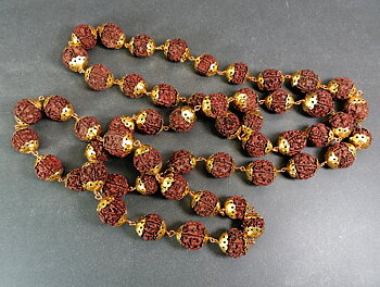 Burmese 17mm Rudraksha  frön Halsband med Mässing