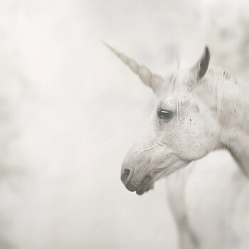 Kort m kuvert "Unicorn" 15x15 cm