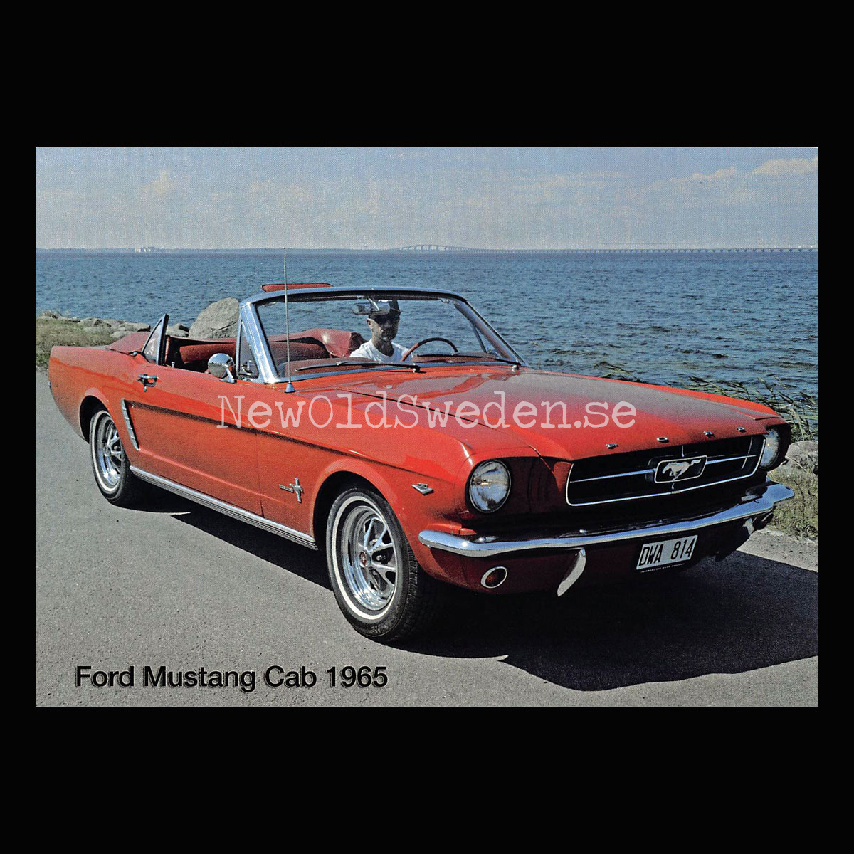 Ford Mustang Cab - 1965 - Vykort A5