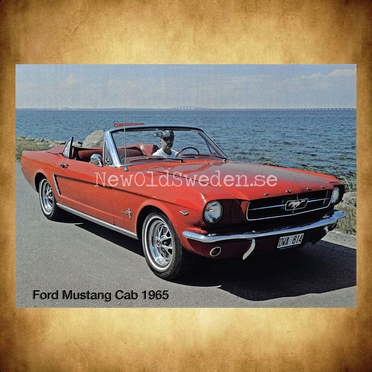Ford Mustang Cab - 1965 - Vykort A5 - 2