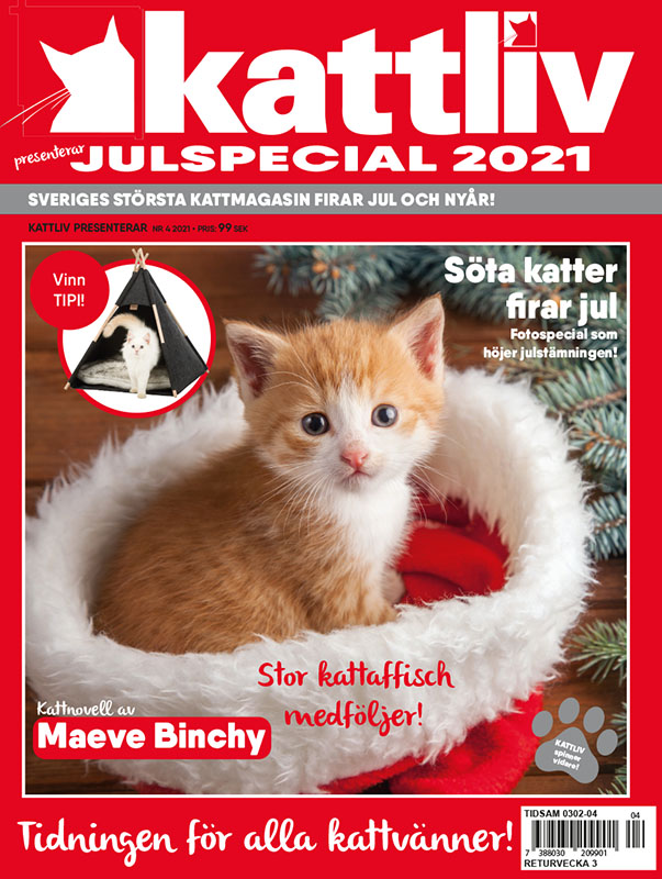 Julspecial 2021