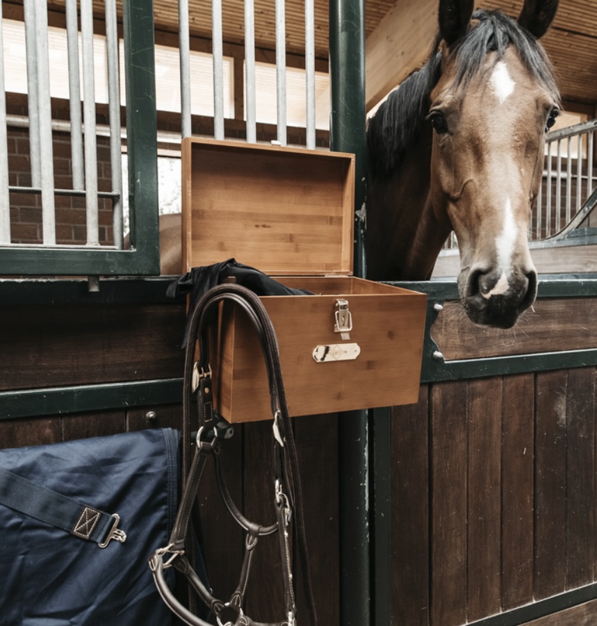 Kentucky  Stable Tack Box - 5