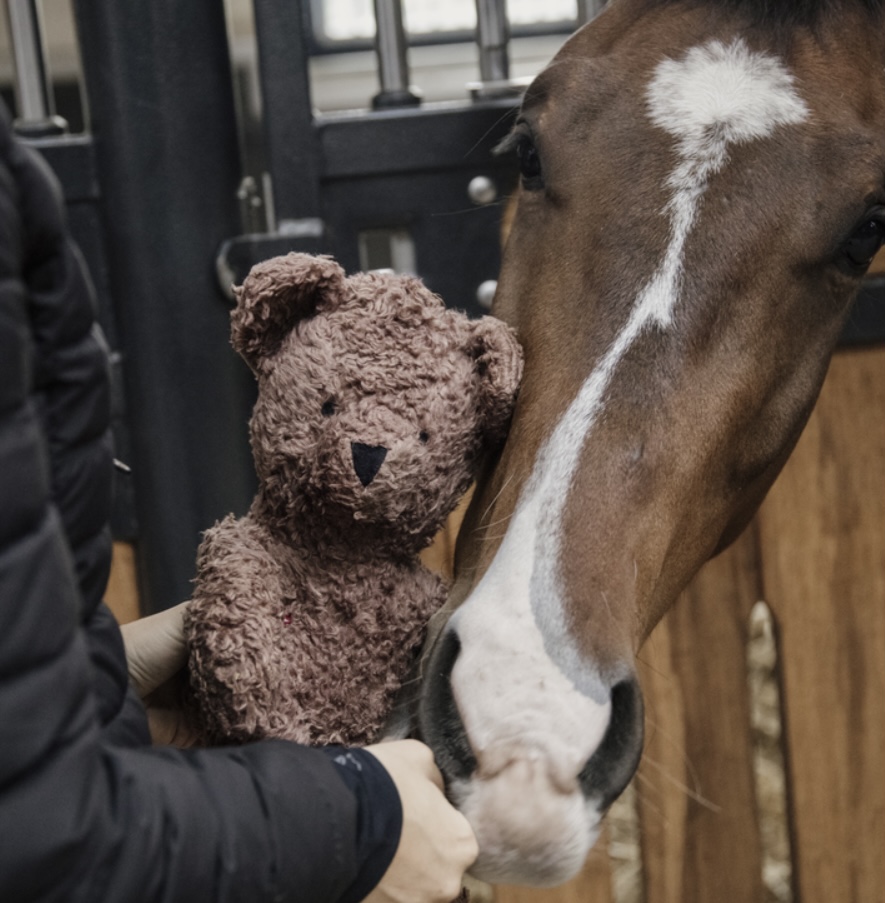 Kentucky  Horse Toy Bear - 2