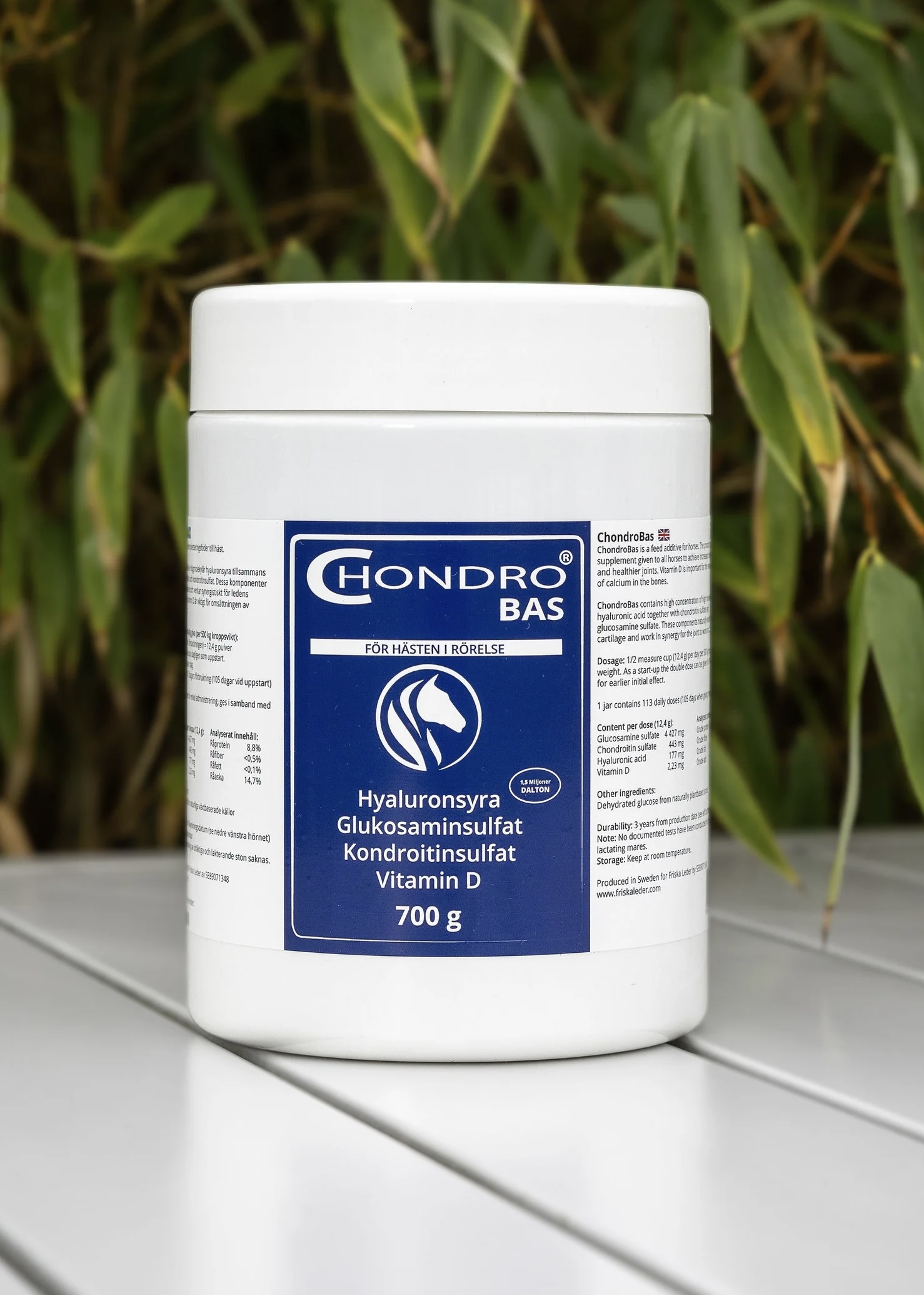 Chondro Bas