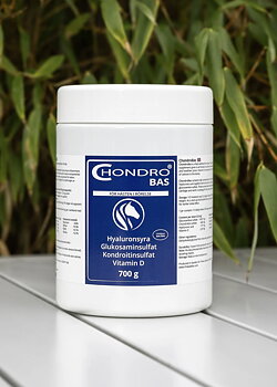 Chondro Bas
