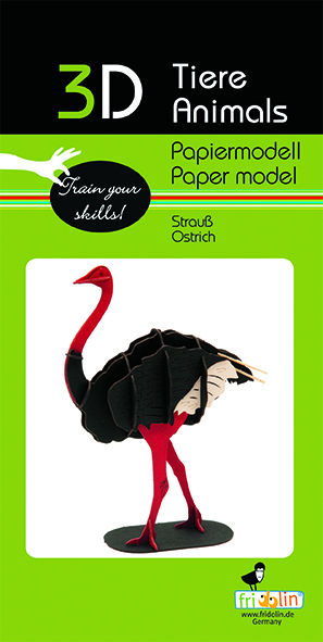 3D-pappersmodell, Struts - 2