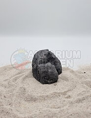 ATG Line - Dragon Stone A