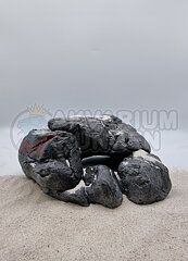 ATG Line - Prestige Stone C