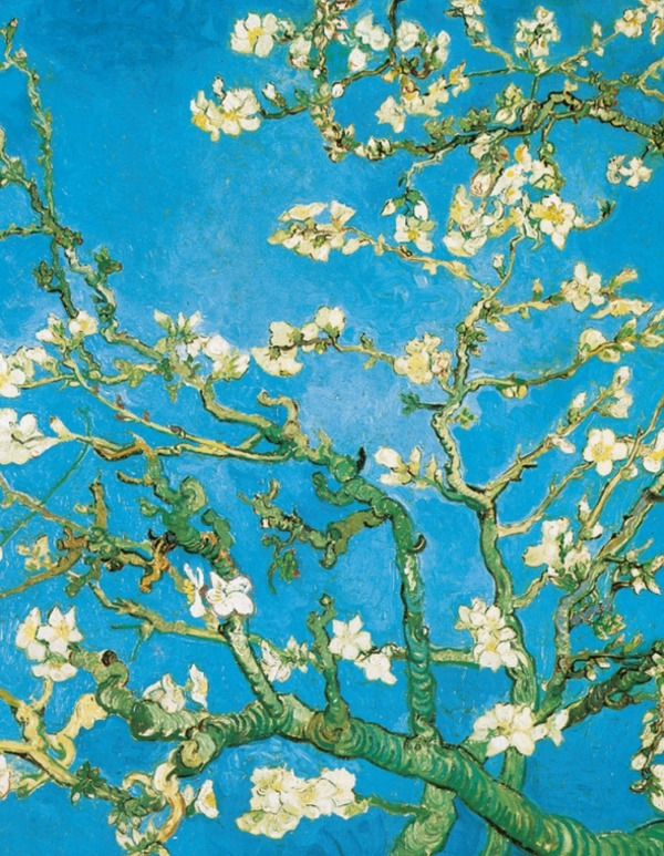 Van Gogh - Almond Tree