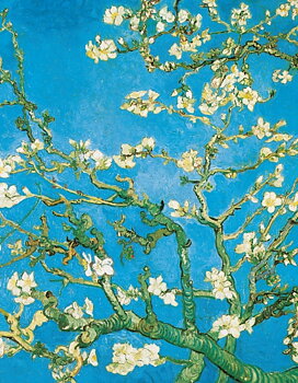 Van Gogh - Almond Tree