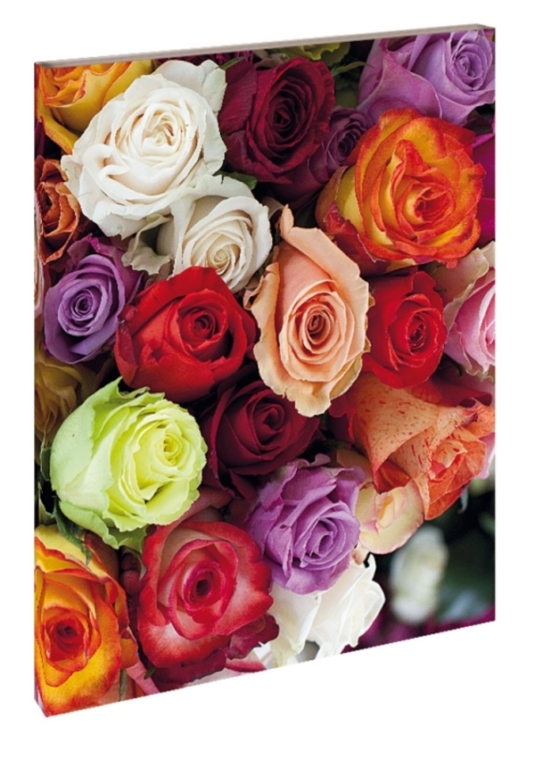 Roses