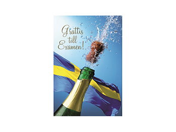 Gratulationskort Grattis till examen 