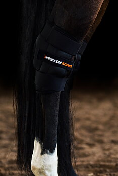 Incrediwear Circulation Hock boot