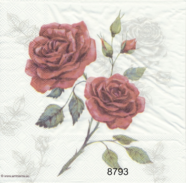 Rosa motiv