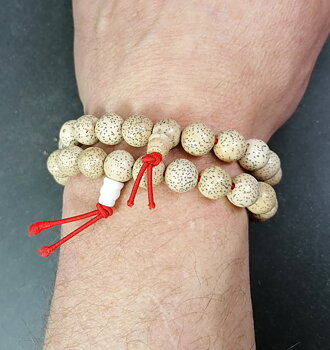Polerade Beige Bodhi Frö Mala armband - 9mm 
