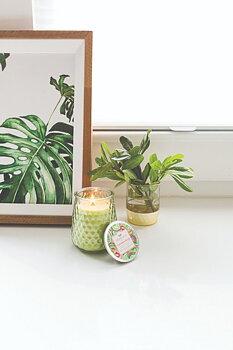 Greenleaf Cucumber Lily Doftljus