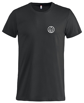 Clique Basic-T (Halmstad GF)
