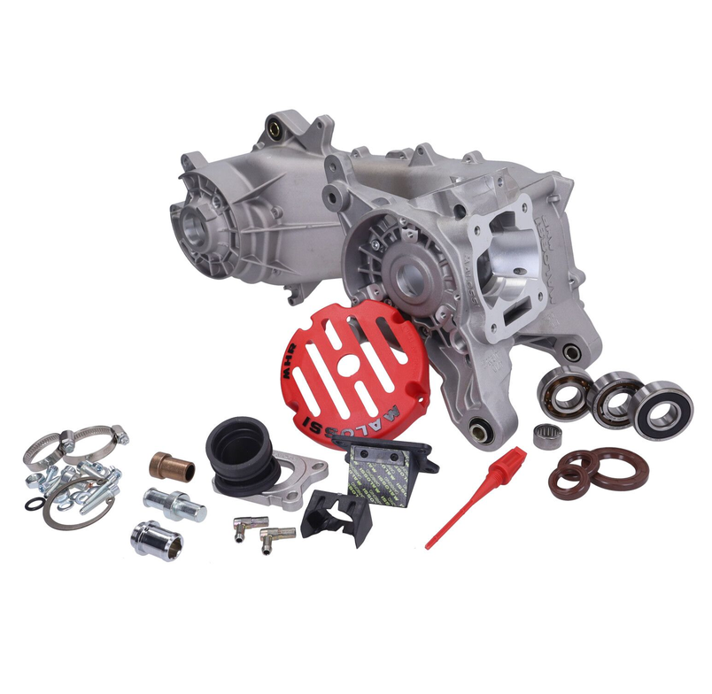 Motorblok Malossi MHR 100cc RC-one - Piaggio