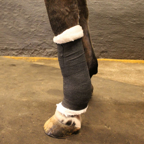 Svart Vetrap-bandage applicerat över vit polstervadd på ett hästben.