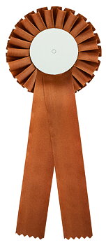 1-Krans Rosett Brun - 310x110 mm Ø mm - Mittplatta med eget motiv i färg ingår i priset