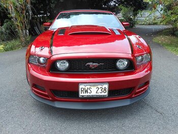 Frontläpp (MUSTANG 13-14 GT, V6)