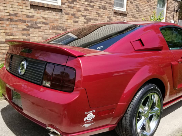 GT500 Style Vinge (MUSTANG 05-09) - 4