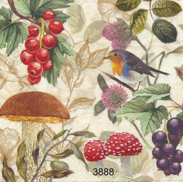 Blandade naturmotiv