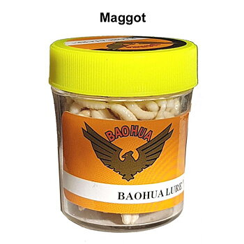 Maggot