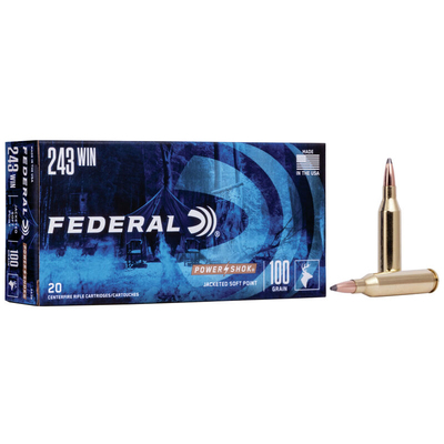 Federal 243 WIN SP 100 GR