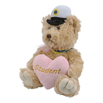 Studentnalle Rosa hjärta 20 cm