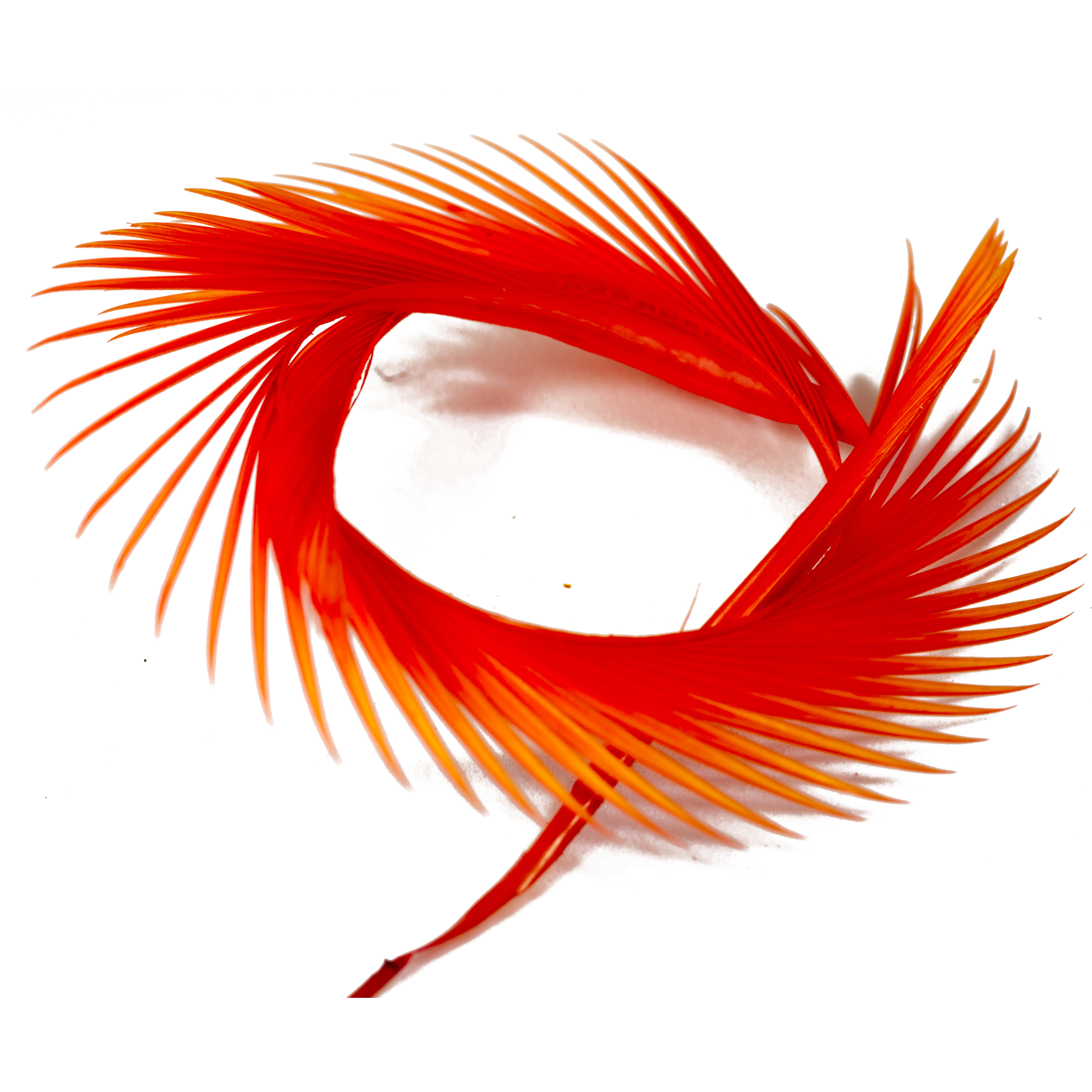 Semperfli Inferno Goose Biots - 6