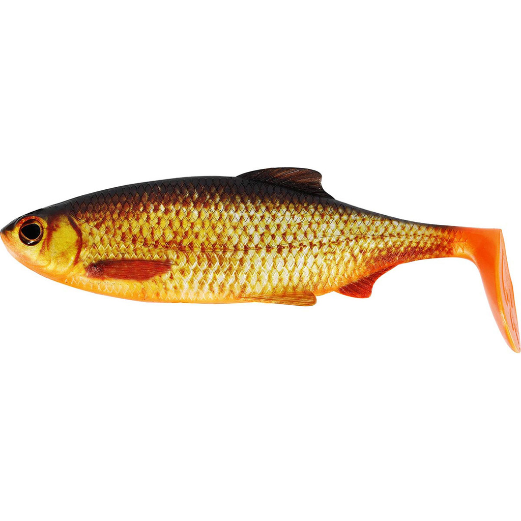 westin Ricky the Roach Shadtail är en realistiskt gäddjigg på 14cm. Med sin breda paddel och lunkande gång har den fångat många stora gäddor. rudd