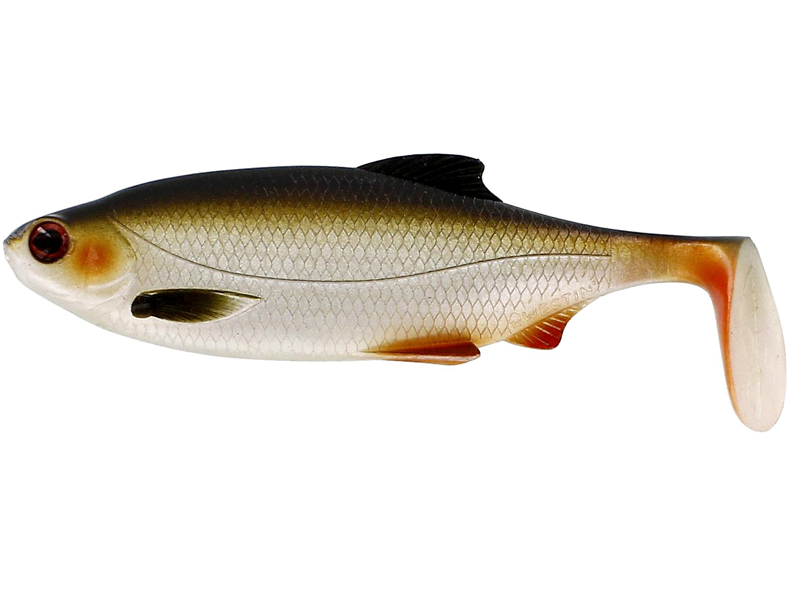 westin Ricky the Roach Shadtail är en realistiskt gäddjigg på 14cm. Med sin breda paddel och lunkande gång har den fångat många stora gäddor. roach