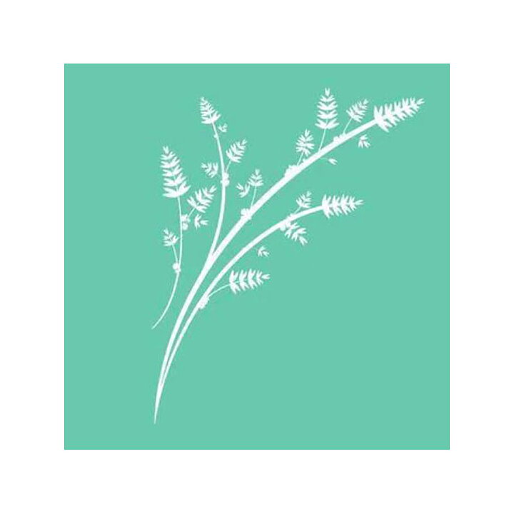 Kaisercraft 6x6 Template - Wheat