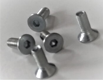 Screw- Steyr trigger