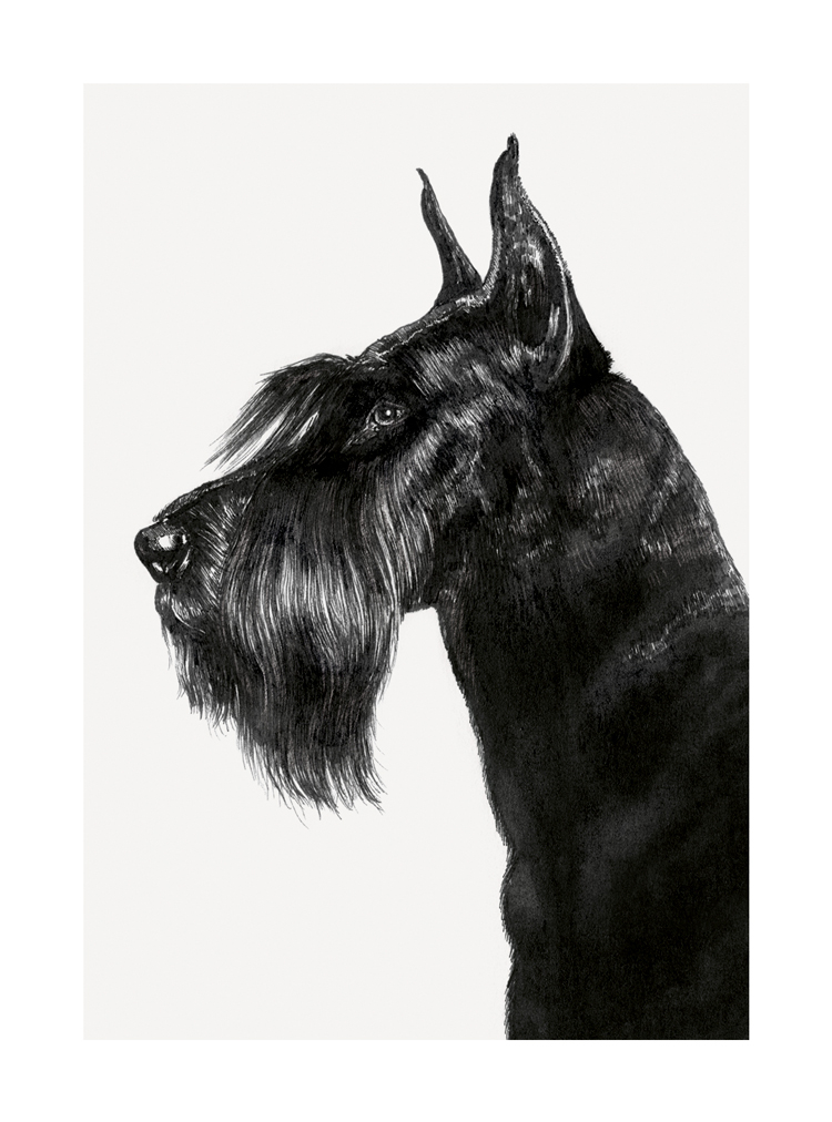 Terrier, Greeting Card