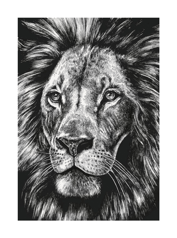 Lion, Greeting Card