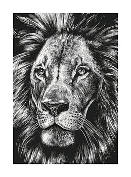 Lion, Greeting Card