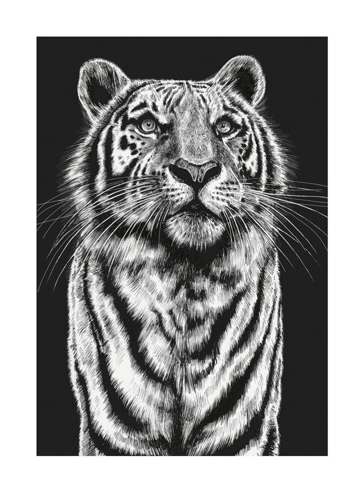 Tiger, Greeting Card