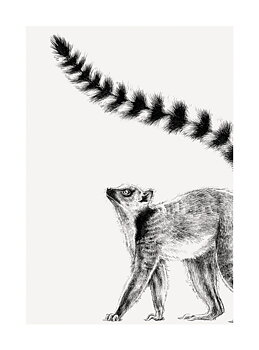 Lemur, Greeting Card