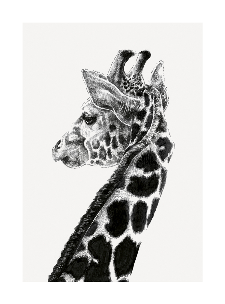 Giraffe, Greeting Card
