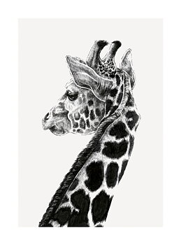 Giraffe, Greeting Card