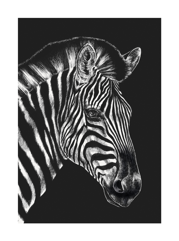 Zebra, Greeting Card